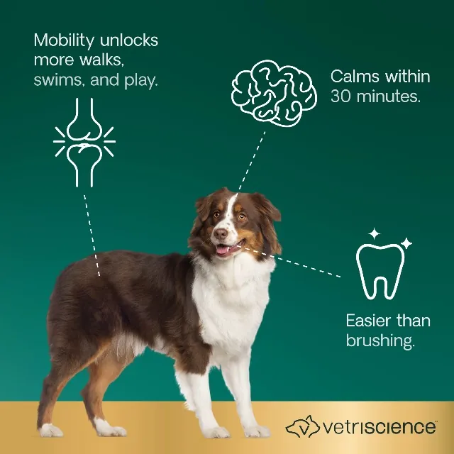 VetriScience Healthy Spine & Disc Review for Dogs image 8