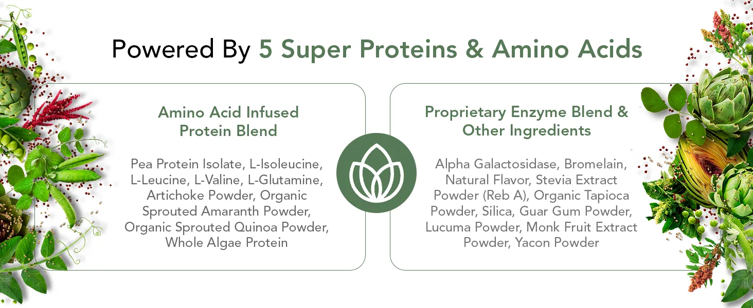 PlantFusion Complete Vegan Protein Powder Review image 9