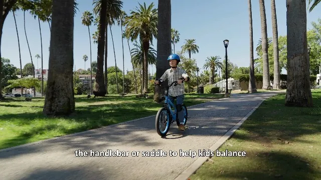 RoyalBaby Kids Bike Freestyle Classic Review image 7