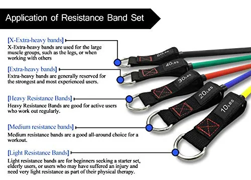 TheFitLife Exercise Resistance Bands Review image 4