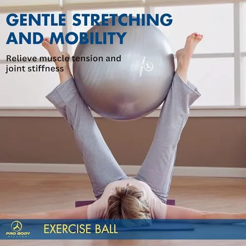 ProBody Pilates Exercise Ball Review: Balance Ball Analysis image 6